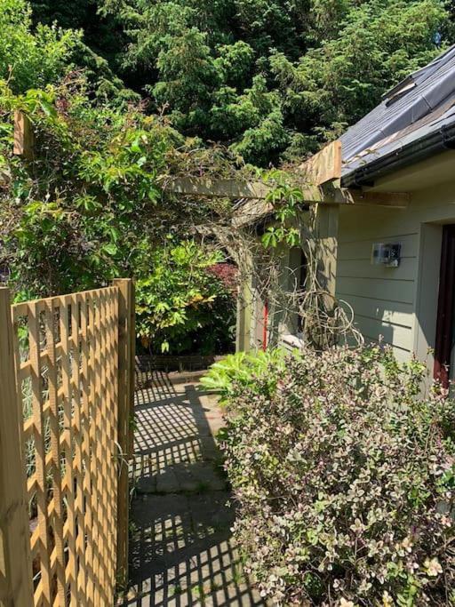 The Bird House - Coastal Lodge In Lovely Forest Setting Nr. Kinsale Cork Exterior photo
